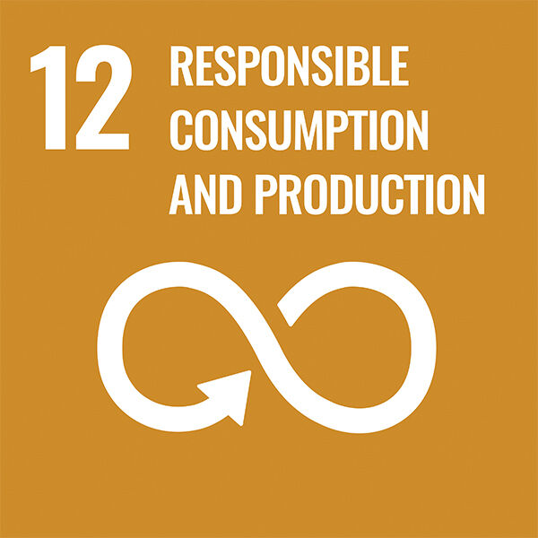 #12 responsible consumption and production in gold